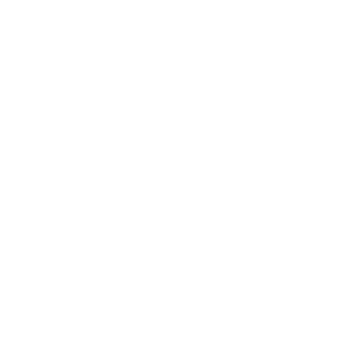 googleicon